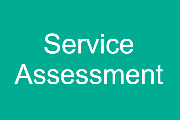 Text saying "Service Assessment" with DHSC approved brand colours